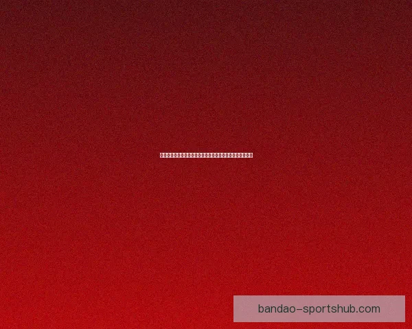 半岛体育手机版：全面提升用户体验，畅享体育赛事精彩瞬间